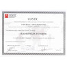DEBISTRAGE-DEGOUDRONNAGE CONDUIT MACONNE